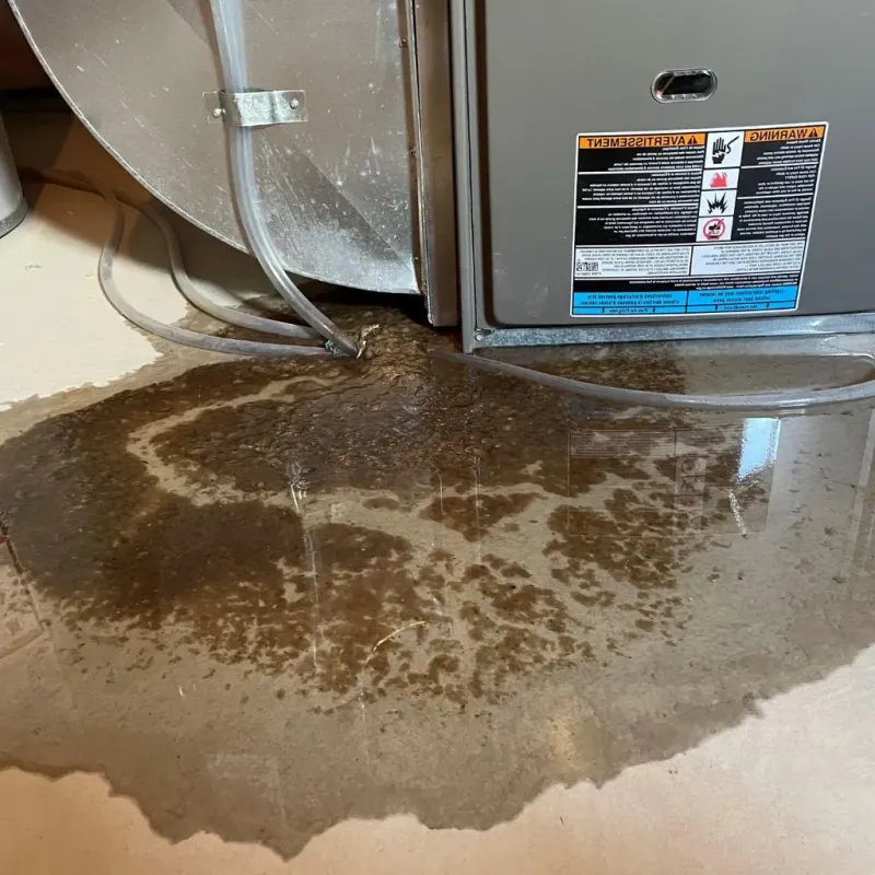 Pipe Burst and Leak Restoration in Ozark County, MO