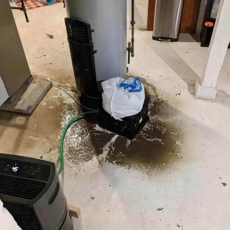 Sewage Backup Cleanup Service in Ozark County, MO